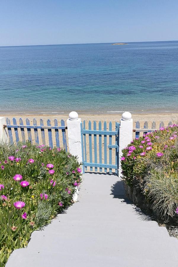 Anemos Seaside House Villa Skyros Exterior photo